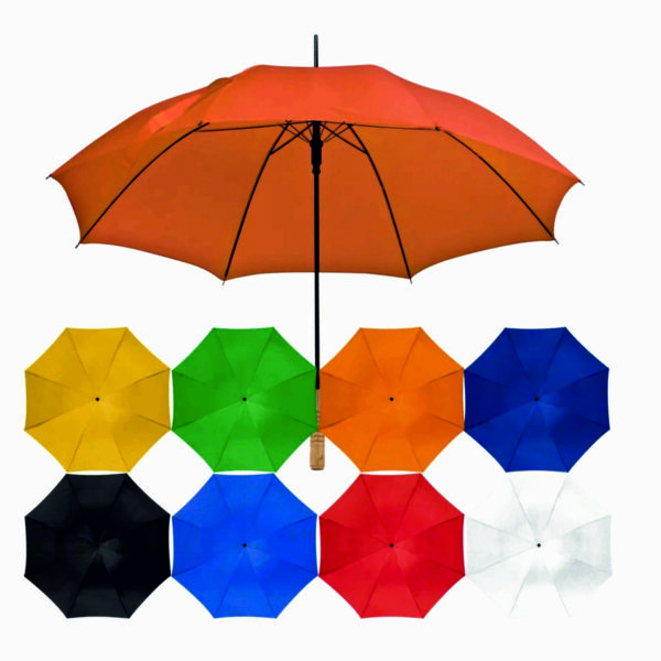 Automatikstockschirm